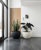Phillips Collection Home Decor Phillips Collection Crater Planter, Black Stone
