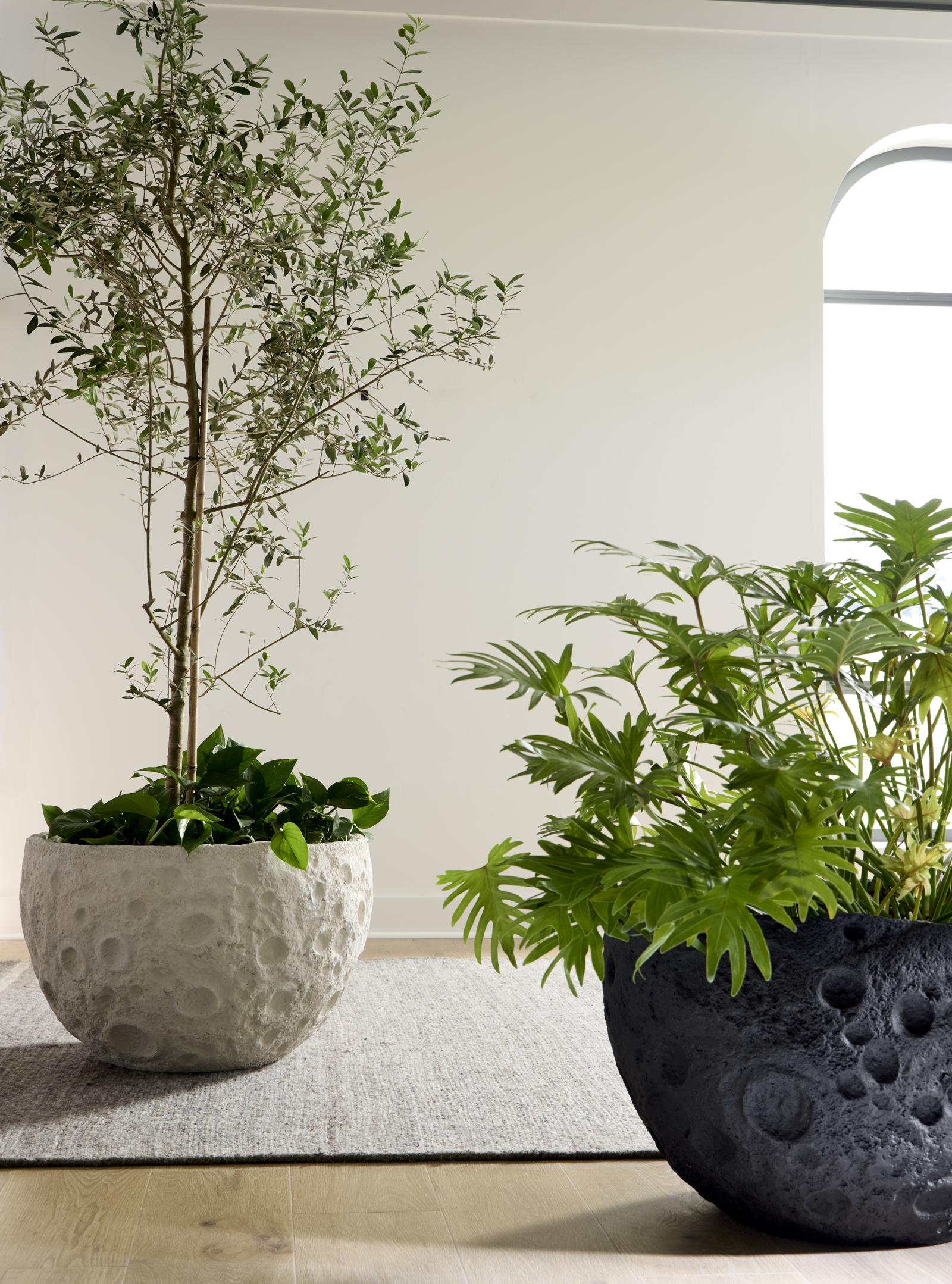 Phillips Collection Home Decor Phillips Collection Crater Planter, Black Stone