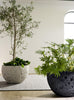 Phillips Collection Home Decor Phillips Collection Crater Planter, Black Stone