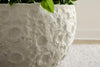 Phillips Collection Home Decor Phillips Collection Crater Planter, White Stone