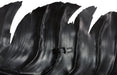 Phillips Collection Home Decor Phillips Collection Feather Wall Decor, Black, Metal, LG