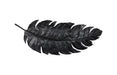 Phillips Collection Home Decor Phillips Collection Feather Wall Decor, Black, Metal, LG