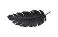 Phillips Collection Home Decor Phillips Collection Feather Wall Decor, Black, Metal, LG