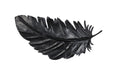 Phillips Collection Home Decor Phillips Collection Feather Wall Decor, Black, Metal, SM