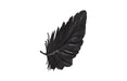 Phillips Collection Home Decor Phillips Collection Feather Wall Decor, Black, Metal, SM