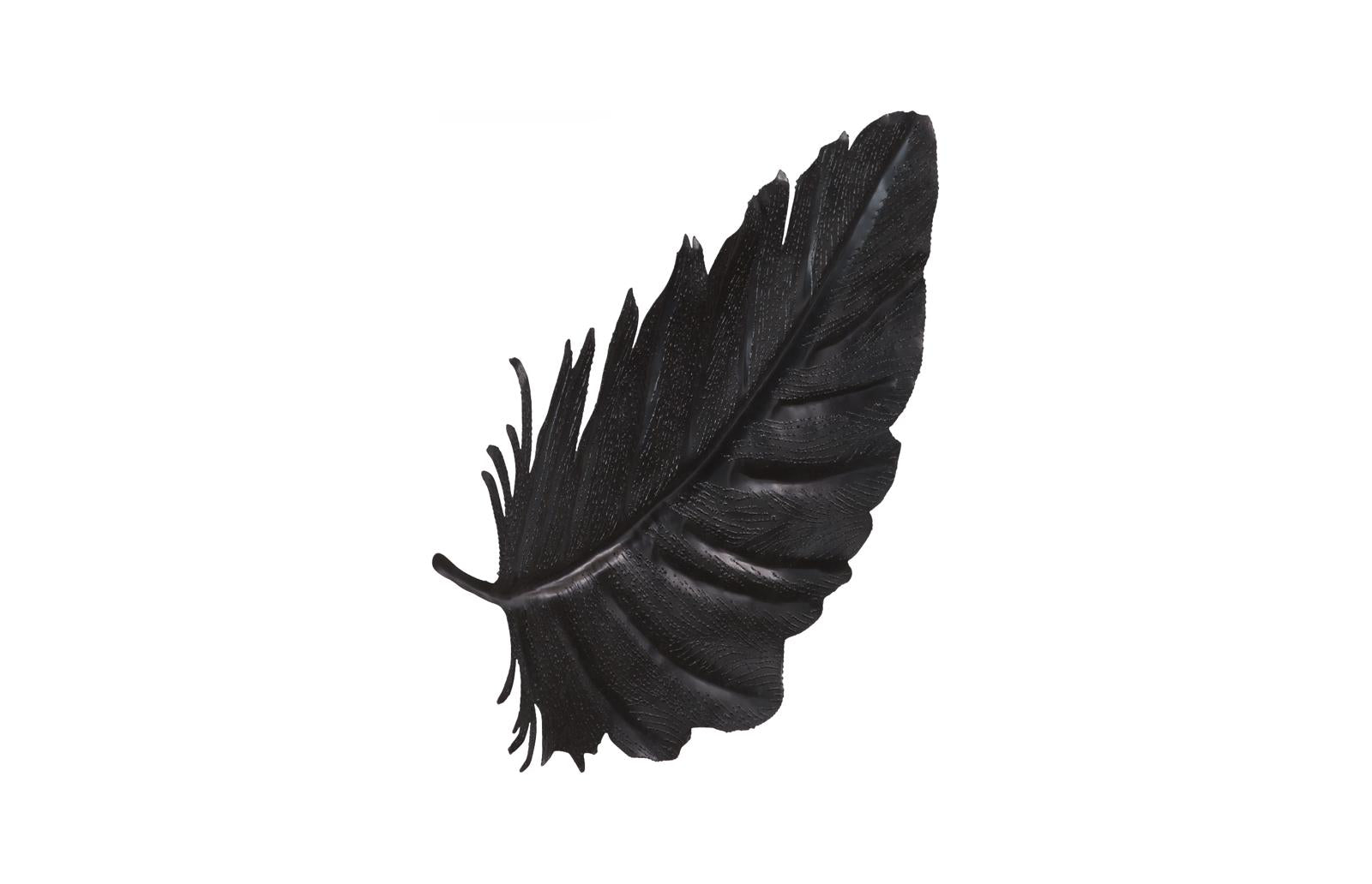 Phillips Collection Home Decor Phillips Collection Feather Wall Decor, Black, Metal, SM