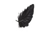Phillips Collection Home Decor Phillips Collection Feather Wall Decor, Black, Metal, SM