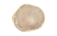 Phillips Collection Home Decor Phillips Collection Floating Coffee Table with Acrylic Legs, Bleached , Size Varies