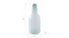 Phillips Collection Home Phillips Collection Frosted Glass Bottle, Large