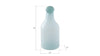 Phillips Collection Home Phillips Collection Frosted Glass Bottle, Medium