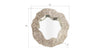 Phillips Collection Home Phillips Collection Fungia Mirror, Silver