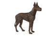 Phillips Collection Home Decor Phillips Collection Great Dane, Standing, Bronze