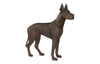 Phillips Collection Home Decor Phillips Collection Great Dane, Standing, Bronze