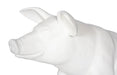 Phillips Collection Home Decor Phillips Collection Happy Pig