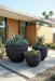 Phillips Collection Home Decor Phillips Collection June Planter, Black, LG