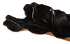 Phillips Collection Home Decor Phillips Collection Leaf Bowl, Teak Wood, Natural & Black, Finish
