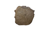 Phillips Collection Home Decor Phillips Collection Log Stool, Bronze, SM