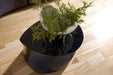 Phillips Collection Home Decor Phillips Collection Mellow Coffee Table, Gel Coat Black
