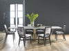 Phillips Collection Home Phillips Collection Mesmerize Dining Chair, Mist Gray, Gray Wooden Legs