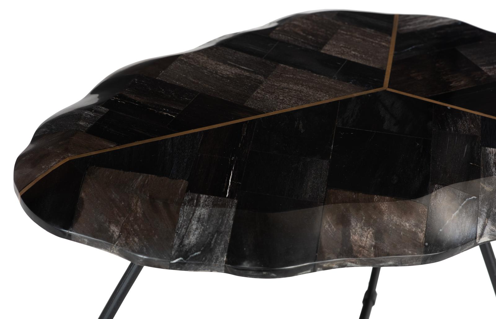Phillips Collection Home Decor Phillips Collection Mosaic Leaf Petrified Coffee Table, Small