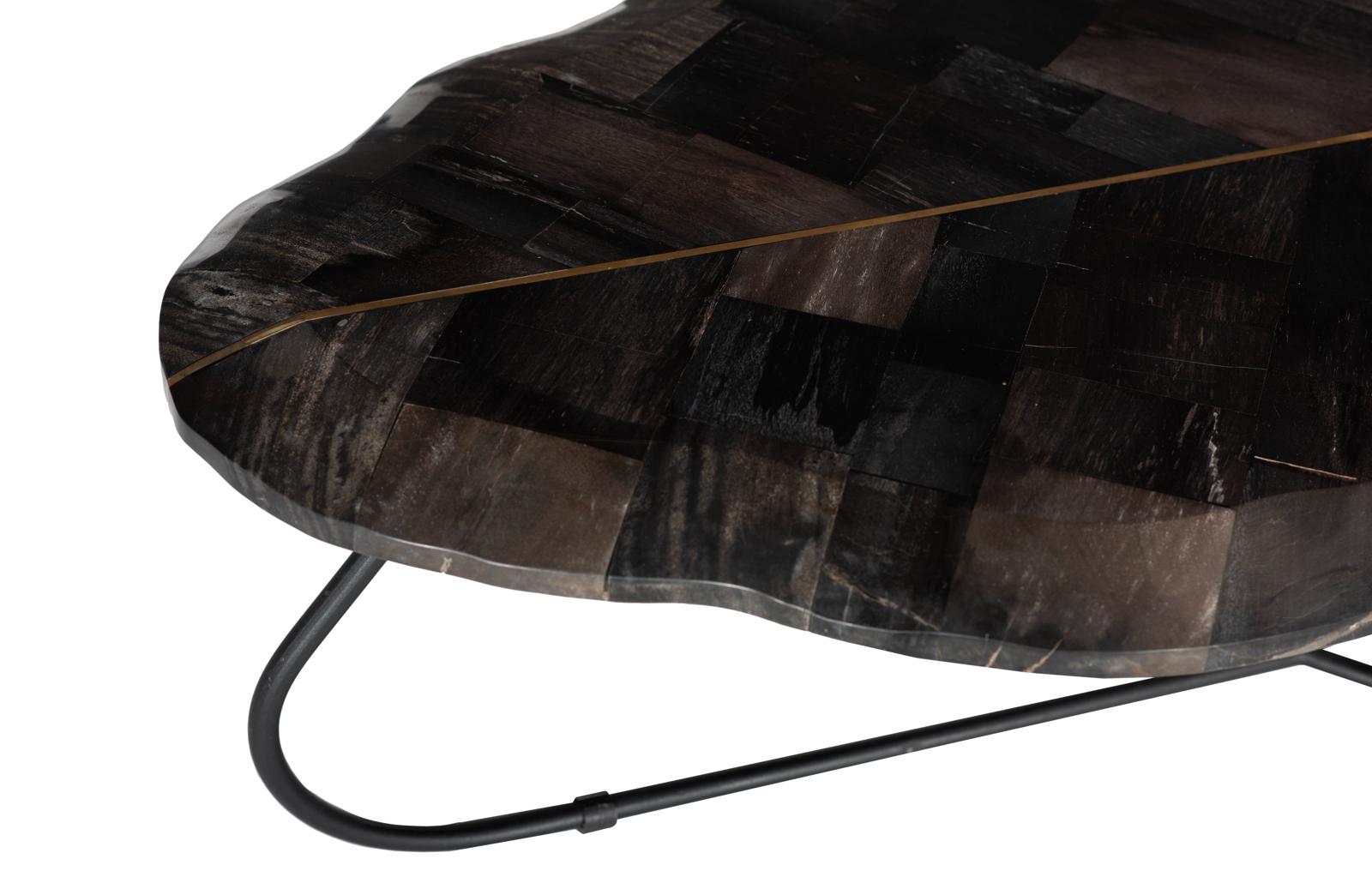 Phillips Collection Home Decor Phillips Collection Mosaic Leaf Petrified Wood Coffee Table, Large