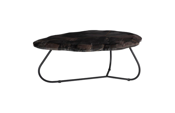 Phillips Collection Home Decor Phillips Collection Mosaic Leaf Petrified Wood Coffee Table, Large