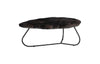 Phillips Collection Home Decor Phillips Collection Mosaic Leaf Petrified Wood Coffee Table, Large