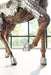 Phillips Collection Home Decor Phillips Collection Mustang Horse Armored Sculpture, Galloping