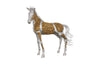 Phillips Collection Home Decor Phillips Collection Mustang Horse Woodland Sculpture, Standing