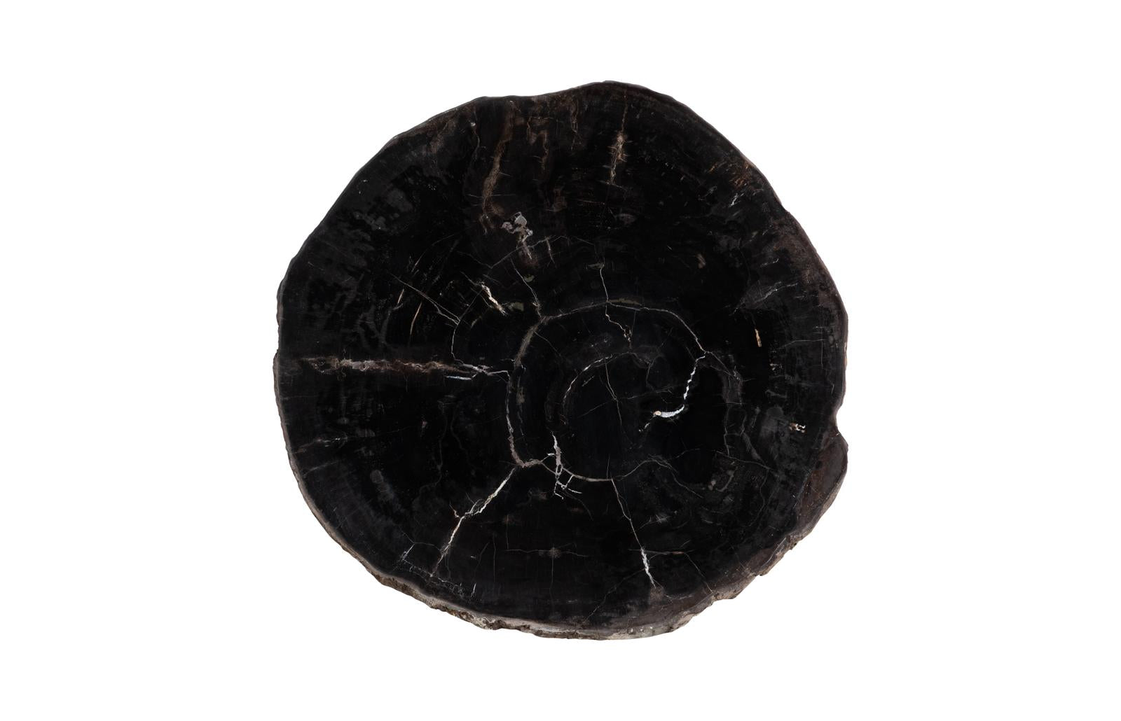 Phillips Collection Home Decor Phillips Collection Petrified Coffee Table, Round, Metal Black Base