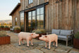 Phillips Collection Home Decor Phillips Collection Pig Sculpture, Standing, Gel Coat