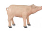 Phillips Collection Home Decor Phillips Collection Pig Sculpture, Standing, Gel Coat