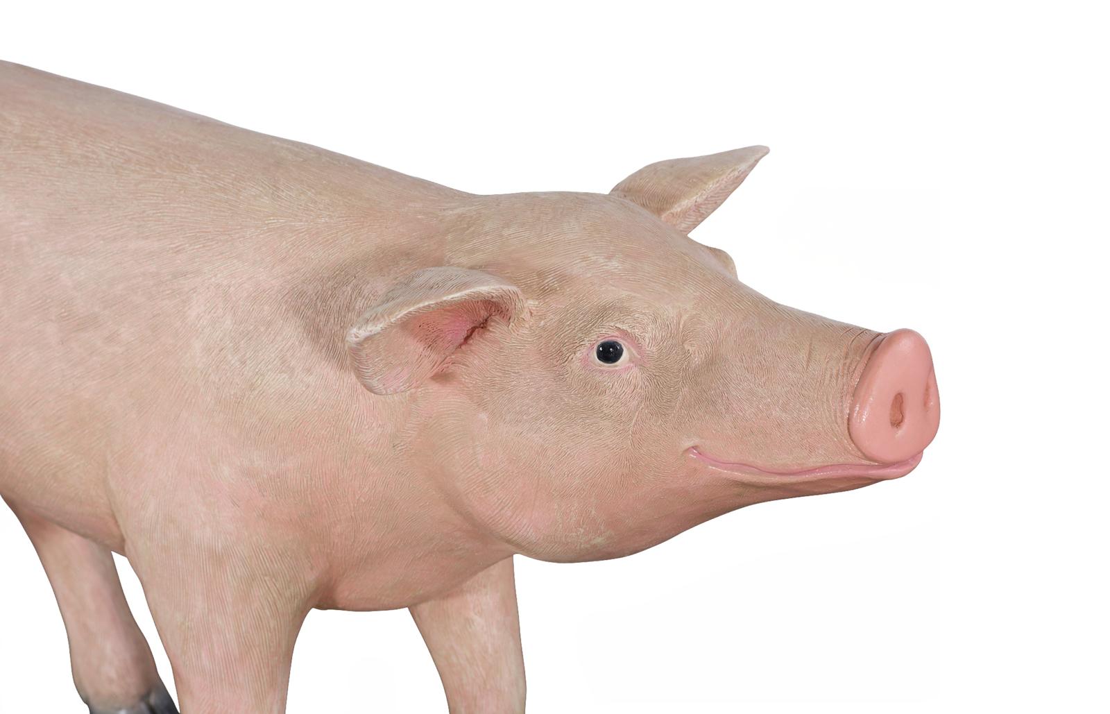 Phillips Collection Home Decor Phillips Collection Pig Sculpture, Standing, Gel Coat