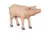 Phillips Collection Home Decor Phillips Collection Pig Sculpture, Standing, Gel Coat