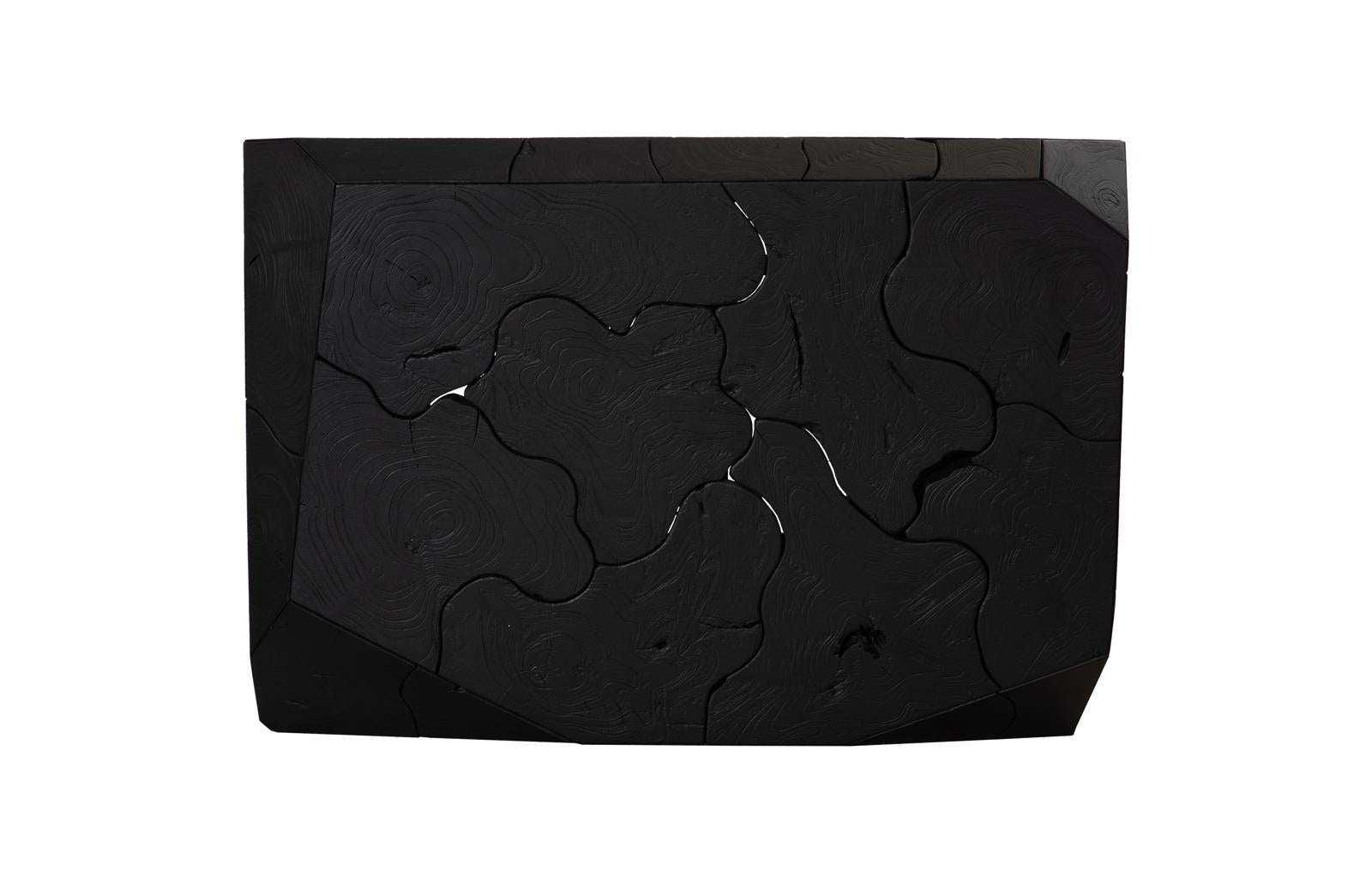 Phillips Collection Home Decor Phillips Collection Prism Coffee Table, Black Finish ID115918