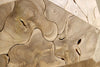 Phillips Collection Home Decor Phillips Collection Prism Console Table, Bleached