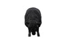 Phillips Collection Home Phillips Collection Sheep Sculpture, Gel Coat Black