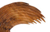 Phillips Collection Home Decor Phillips Collection Swoop Wall Art, Natural Wood, Large