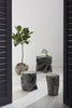 Phillips Collection Home Phillips Collection Teak Planter, Black Wash Finish