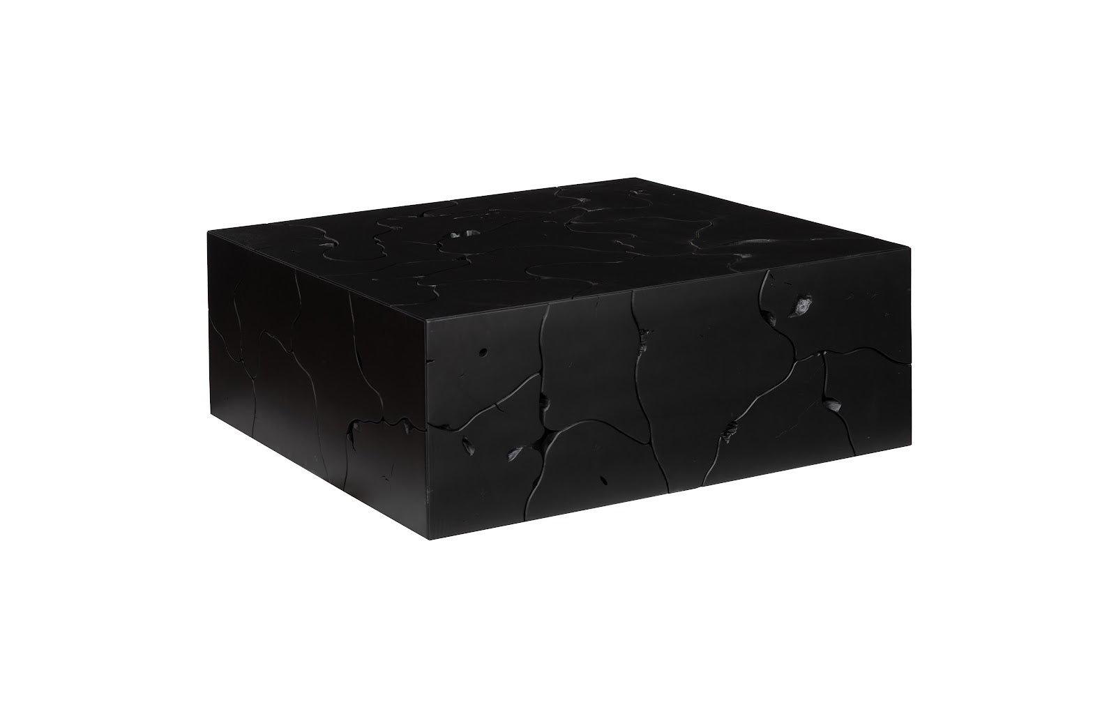 Phillips Collection Home Decor Phillips Collection Teak Slice Coffee Table, Square, Black