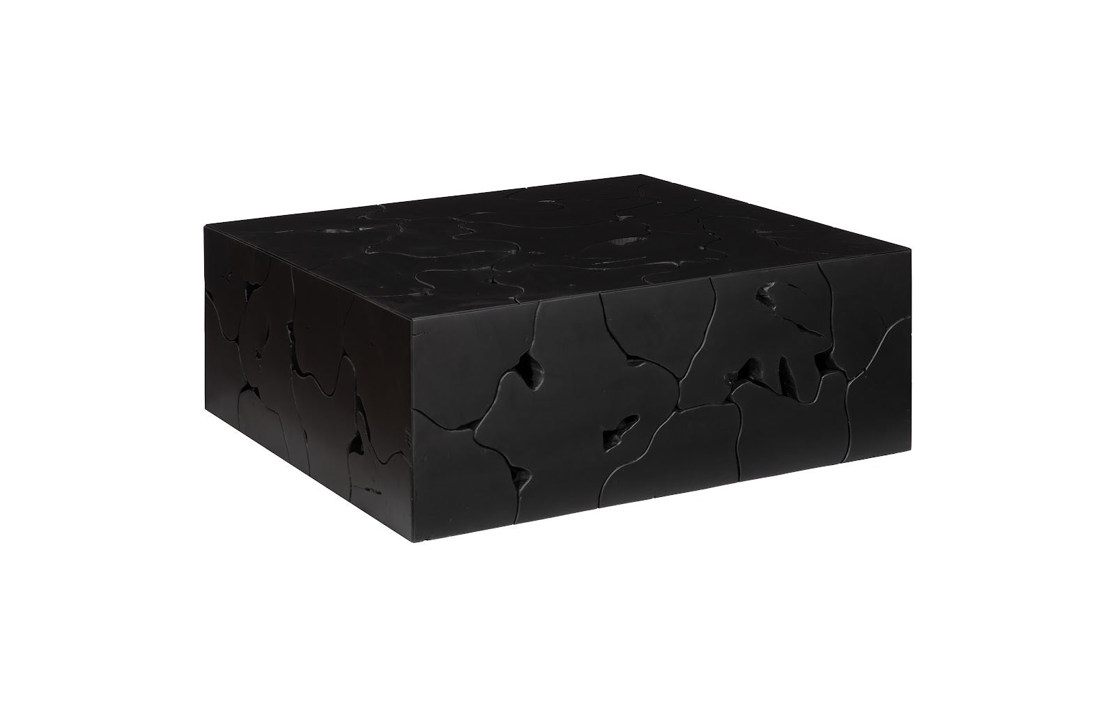 Phillips Collection Home Decor Phillips Collection Teak Slice Coffee Table, Square, Black