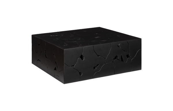 Phillips Collection Home Decor Phillips Collection Teak Slice Coffee Table, Square, Black