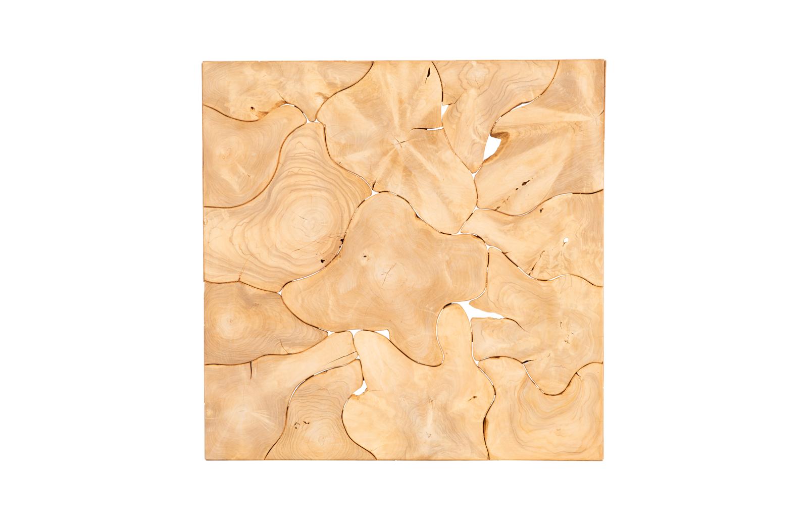 Phillips Collection Home Decor Phillips Collection Teak Slice Coffee Table, Square, Bleached