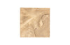 Phillips Collection Home Decor Phillips Collection Teak Slice Pedestal, Square, Bleached ,  LG