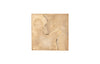 Phillips Collection Home Decor Phillips Collection Teak Slice Pedestal, Square, Bleached , SM