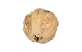 Phillips Collection Home Decor Phillips Collection Teak Wood Ball, Large, Bleached