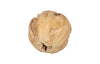 Phillips Collection Home Decor Phillips Collection Teak Wood Ball, Large, Bleached