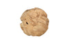 Phillips Collection Home Decor Phillips Collection Teak Wood Ball, Large, Bleached