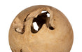 Phillips Collection Home Decor Phillips Collection Teak Wood Ball, Medium, Bleached