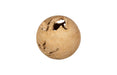 Phillips Collection Home Decor Phillips Collection Teak Wood Ball, Medium, Bleached